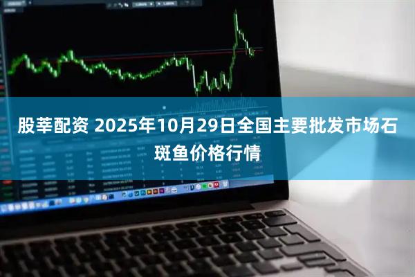 股莘配资 2025年10月29日全国主要批发市场石斑鱼价格行情